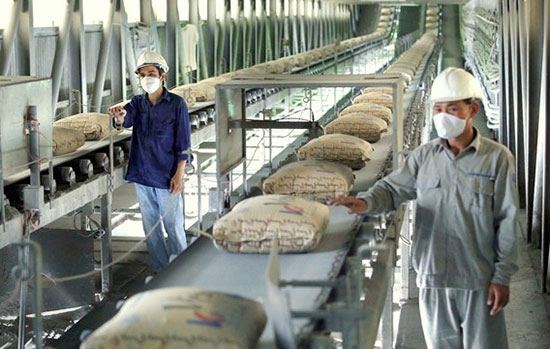 سهم عمده سیمان از صادرات خراسان جنوبی