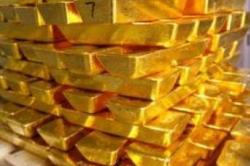 افزایش 48 درصدی تولید طلای موته