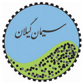 آزمایشات و معاینات ادواری پرسنل شرکت سیمان گیلان سبز انجام شد آزمایشات و معاینات ادواری پرسنل شرکت سیمان گیلان سبز انجام شد