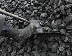 شرکت زغال سنگ پروده طبس رکورددار تولید کنسانتره زغال سنگ کشور