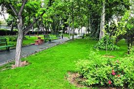 فضای سبز ذوب‌آهن اصفهان ۸۴ برابر حد استانداردهای محیط زیستی