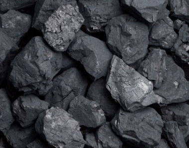دیدار مدیران ارشد بازار سرمایه با تولید کنندگان زغال سنگ