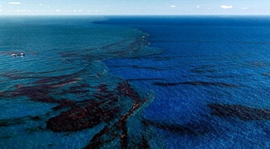 آلودگی نفتی در سواحل خلیج‌فارس جمع‌آوری شده است