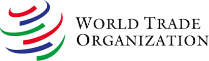 تجربه حضور در WTO با عضویت در اوراسیا