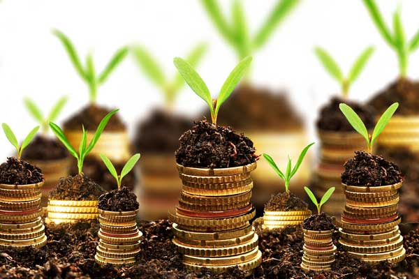 زیرساخت‌های لازم برای حضور سرمایه‌گذاران در دامغان فراهم شود