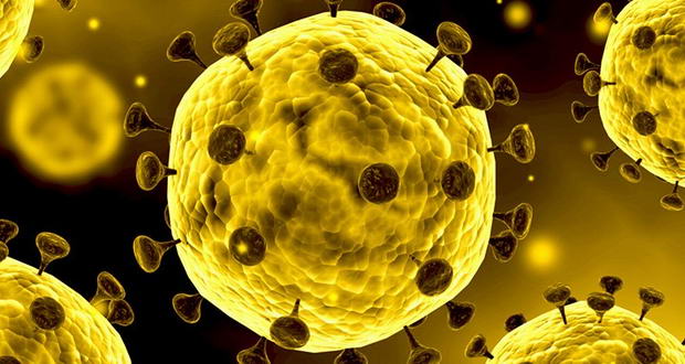اقدامات شرکت فولاد سفیددشت جهت مهار ویروس کرونا اقدامات شرکت فولاد سفیددشت جهت مهار ویروس کرونا