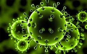 فهم منشاء ویروس کرونا؛ الزامی برای پیوستگی جهانی