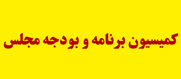 هیات رئیسه کمیته‌های کمیسیون برنامه و بودجه تعیین شدند