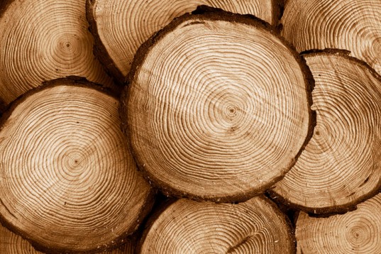 ساماندهی مراکز عرضه چوب در تویسرکان/ برخورد قاطع با متخلفان