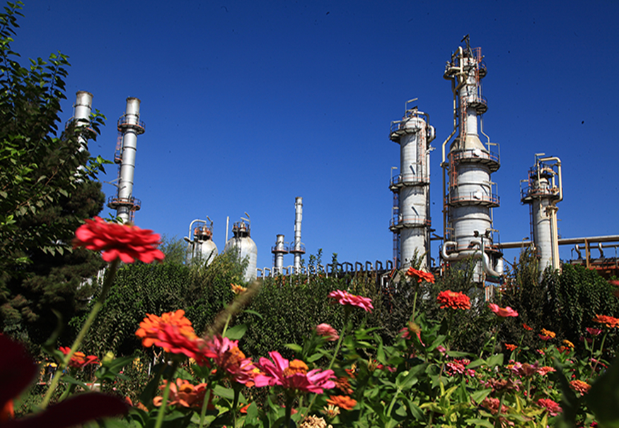 کسب عنوان نخست شرکت پالایش نفت تهران در حوزه محیط زیست