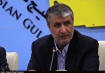 اسلامی: رویکرد ایران در مذاکرات لغو کامل تحریم‌هاست/ سرمایه‌گذاری ۸.۷ میلیارد دلاری در نیروگاه جدید اتمی بوشهر