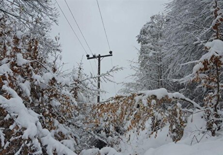 آخرین وضعیت تأمین برق روستا‌های کردستان/ از ارسال تیر‌های بتنی تا وصل برق با دیزل ژنراتور