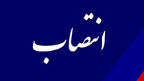 نماینده وزارت صمت در کمیسیون انضباطی اتاق ایران معرفی شد