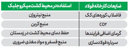 فناوری زیست‌توده میکروجلبک جهت کاهش انتشار CO۲ در صنعت فولاد