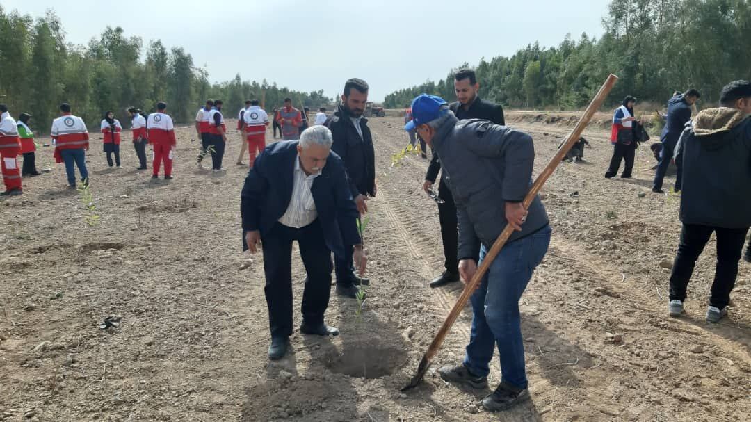 پویش سراسری نهال کاری به نام پویش سراسری نهال کاری به نام