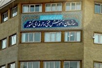 نخستین رویداد «تدسان ملی» برگزار می‌شود