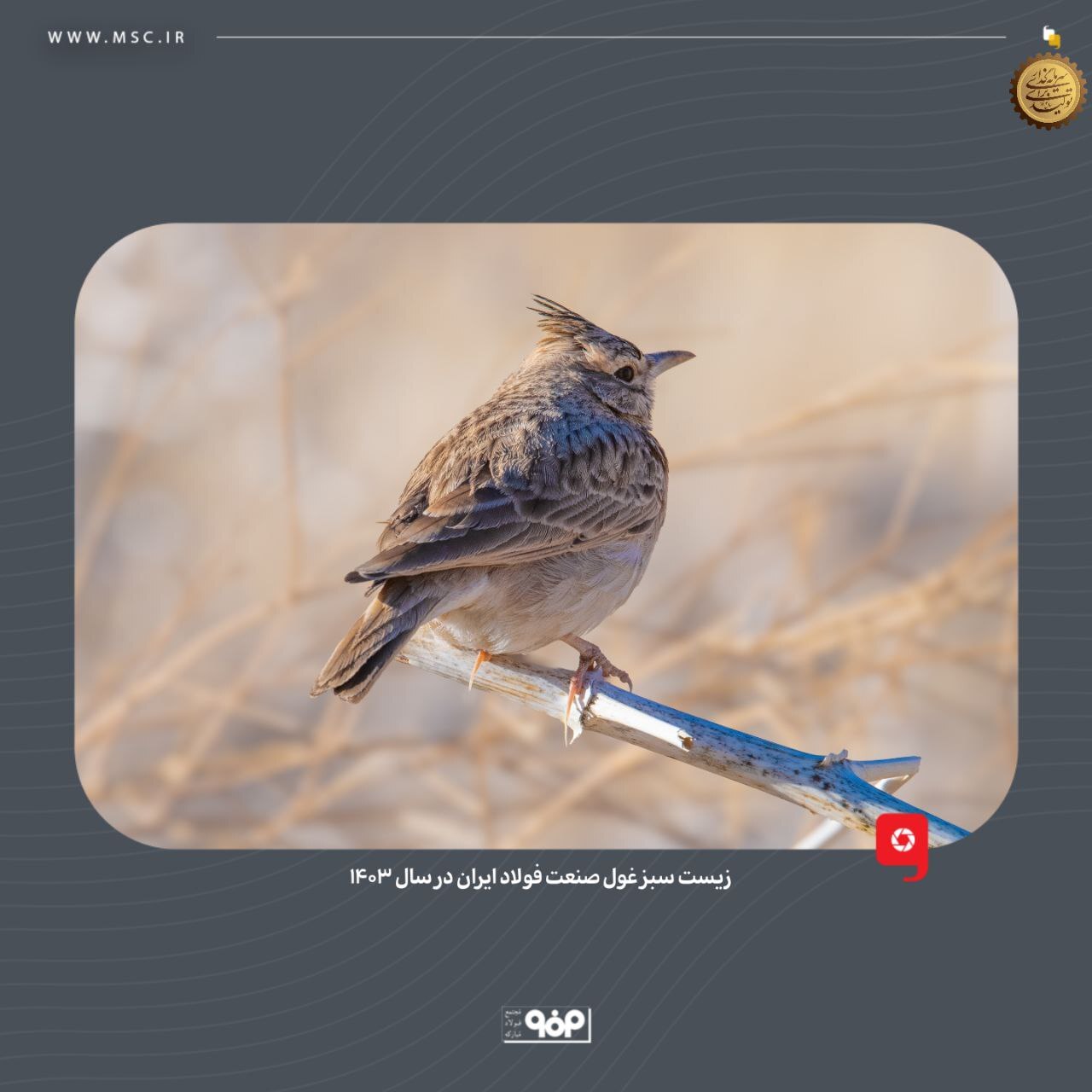 زیست سبز غول صنعت فولاد ایران در ۱۴۰۳